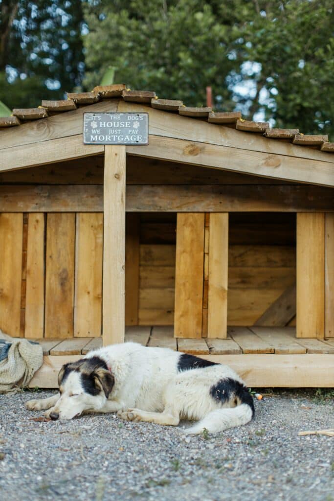 A dog rests peacefully outside a large wooden dog house on a quiet day.