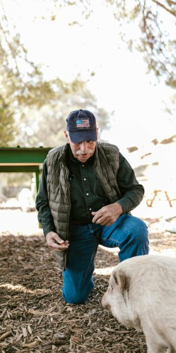 pexels-photo-7782336-7782336 A farmer in denim and gilet feeds a piglet outdoors under trees on a sunny day.